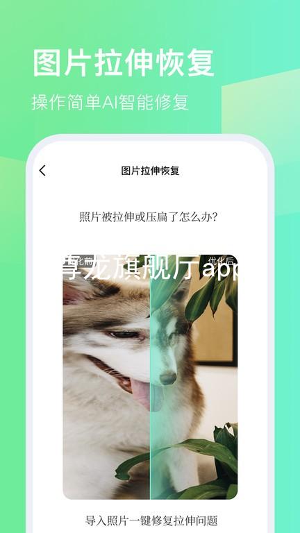 尊龙旗舰厅app