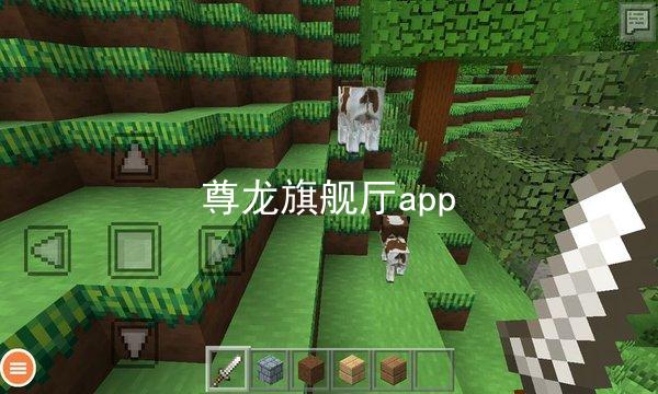 尊龙旗舰厅app