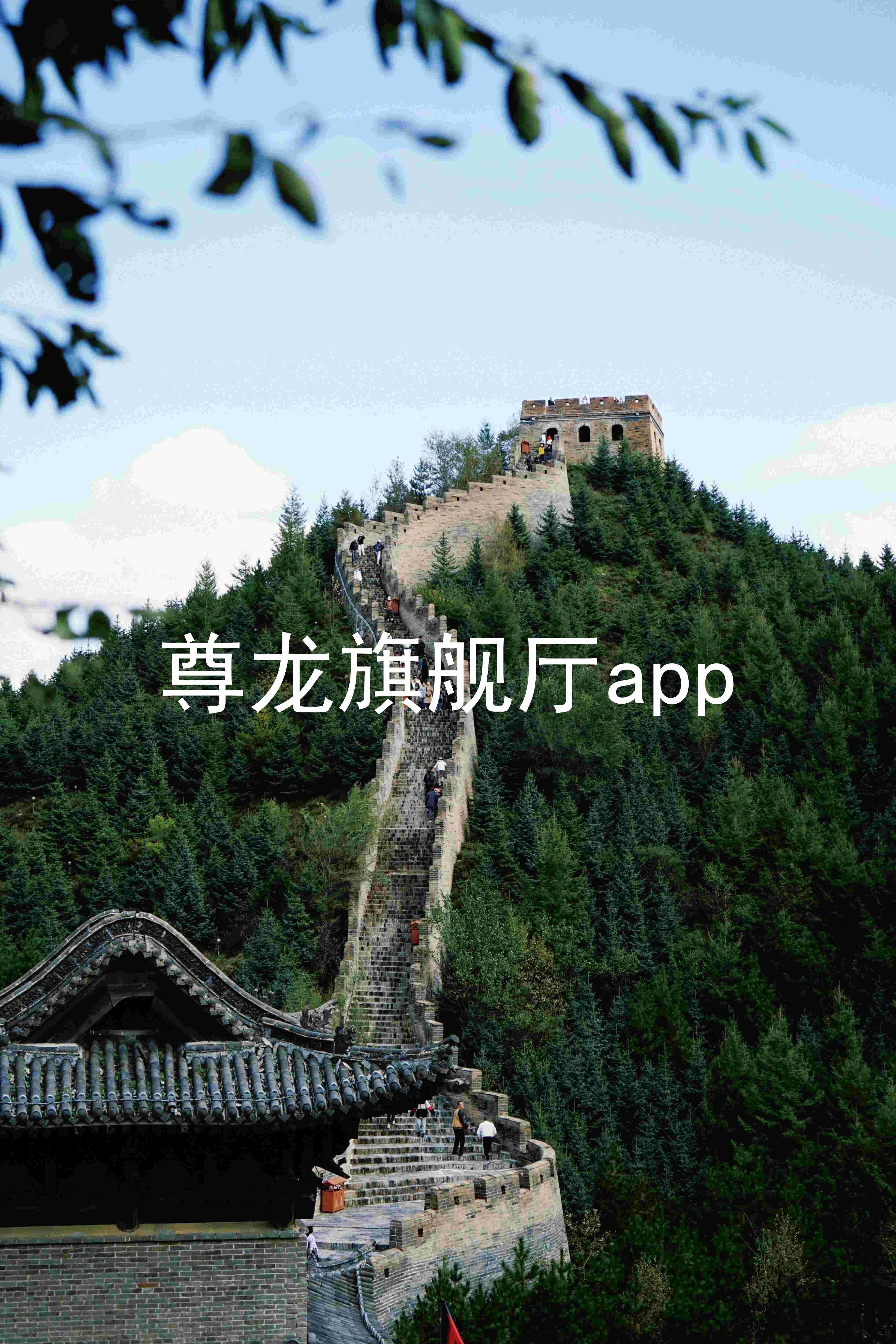 尊龙旗舰厅app