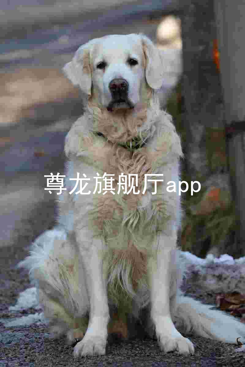 尊龙旗舰厅app