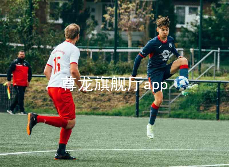 尊龙旗舰厅app